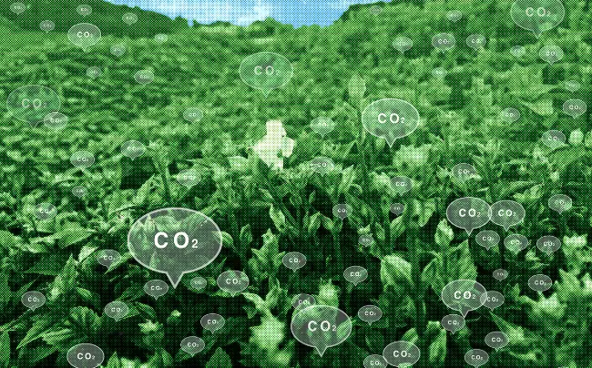 gıda sektöründe karbon ayak izi